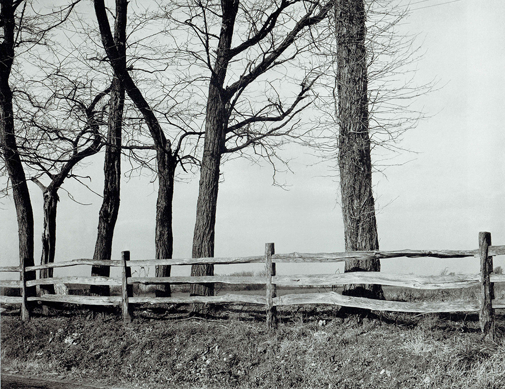 Barren Trees with Split Rail Fence 1940-43, Luke Swank